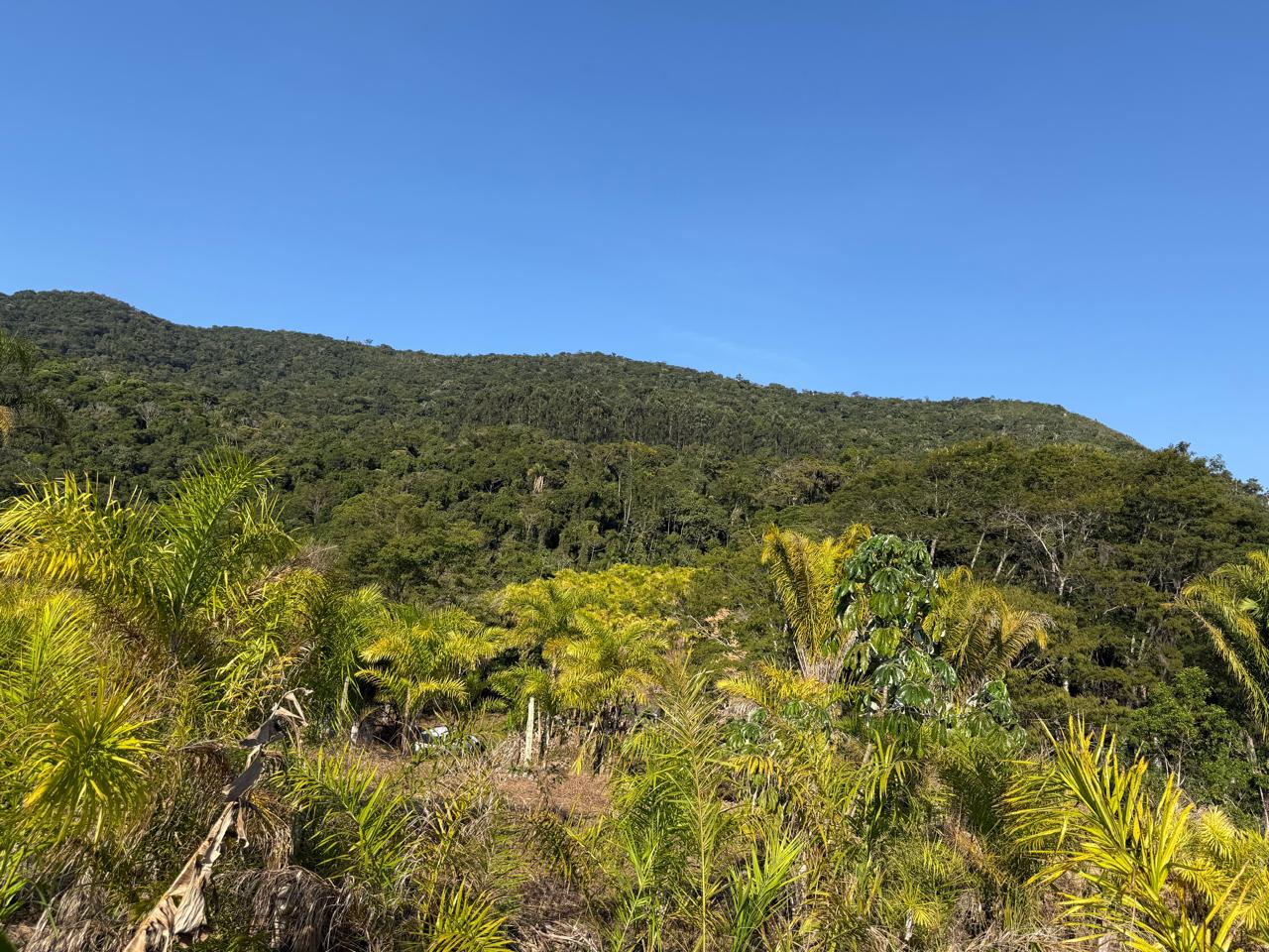 Foto 3 - Terreno na Serra do Guaraú